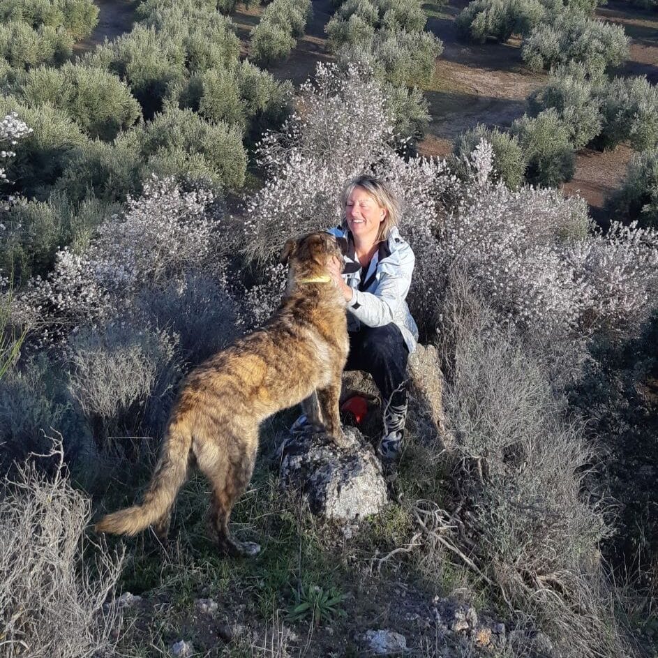 Dierenoppas aan huis